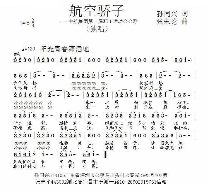 航空骄子
