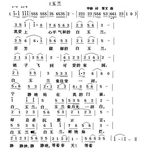 白玉兰
