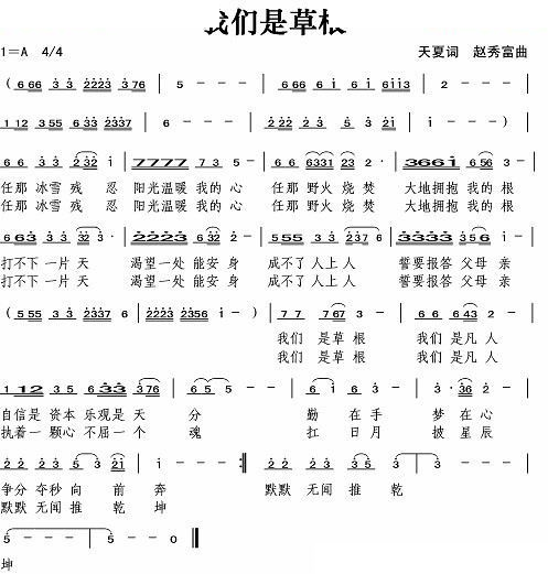 我们是草根