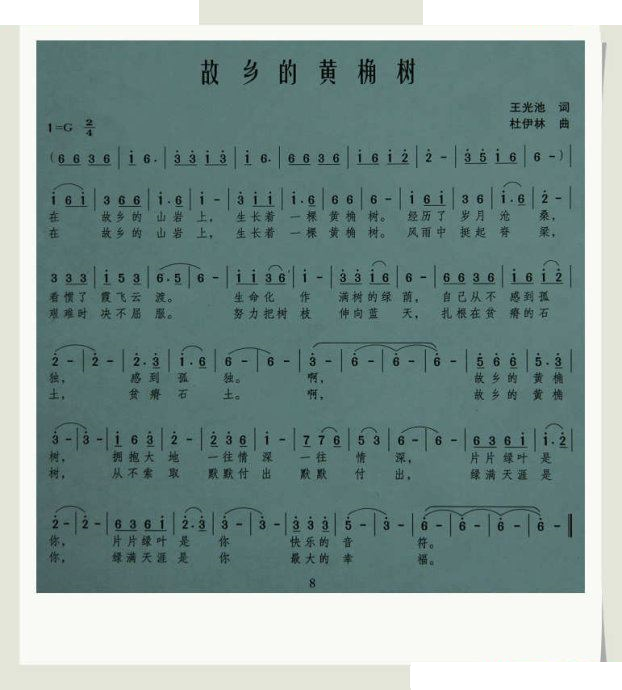 故鄉的黃桷樹