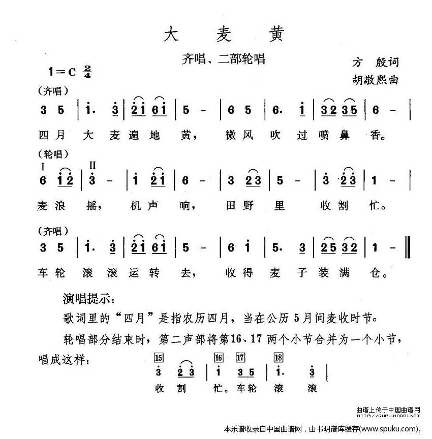 大麦黄