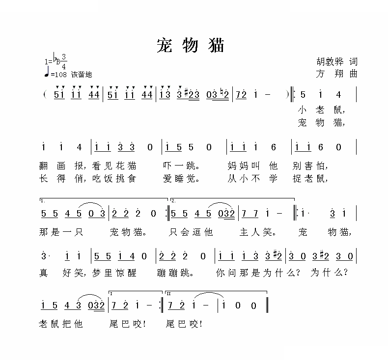 宠物猫 