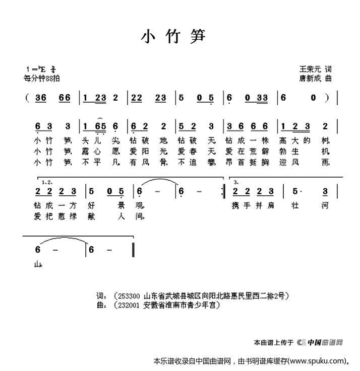 小竹笋