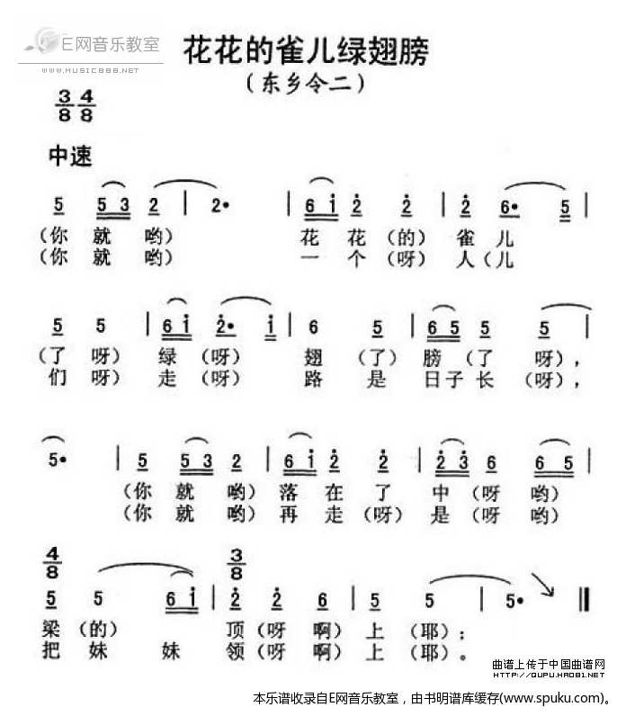 花花的雀儿绿翅膀-东乡令二