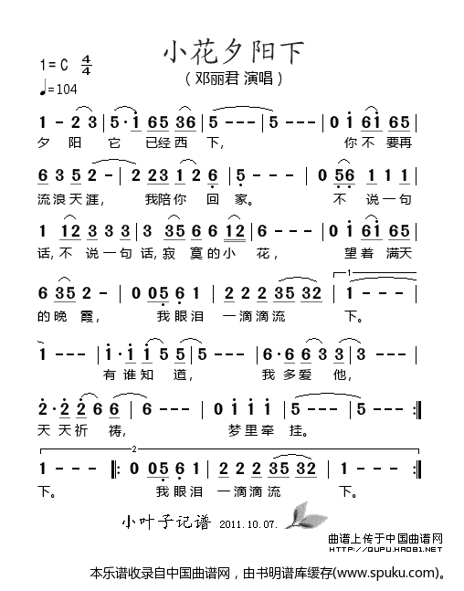 小花夕阳下
