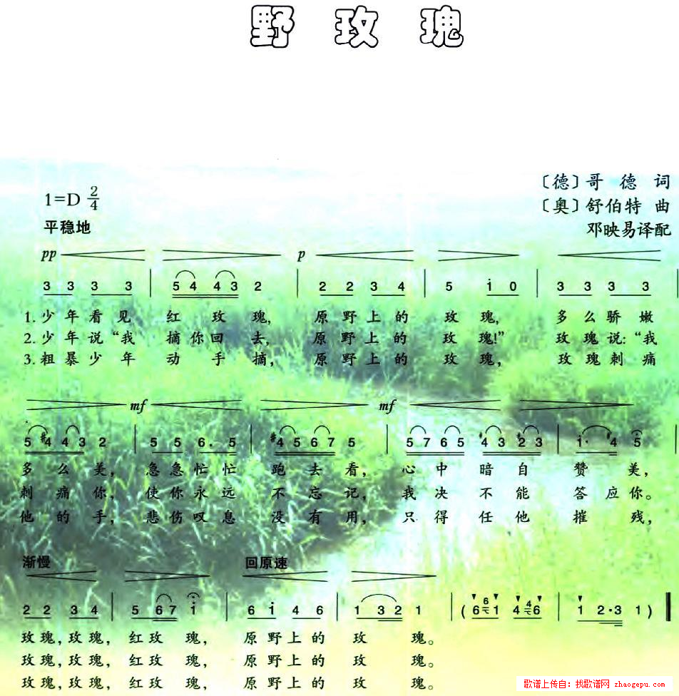 野玫瑰