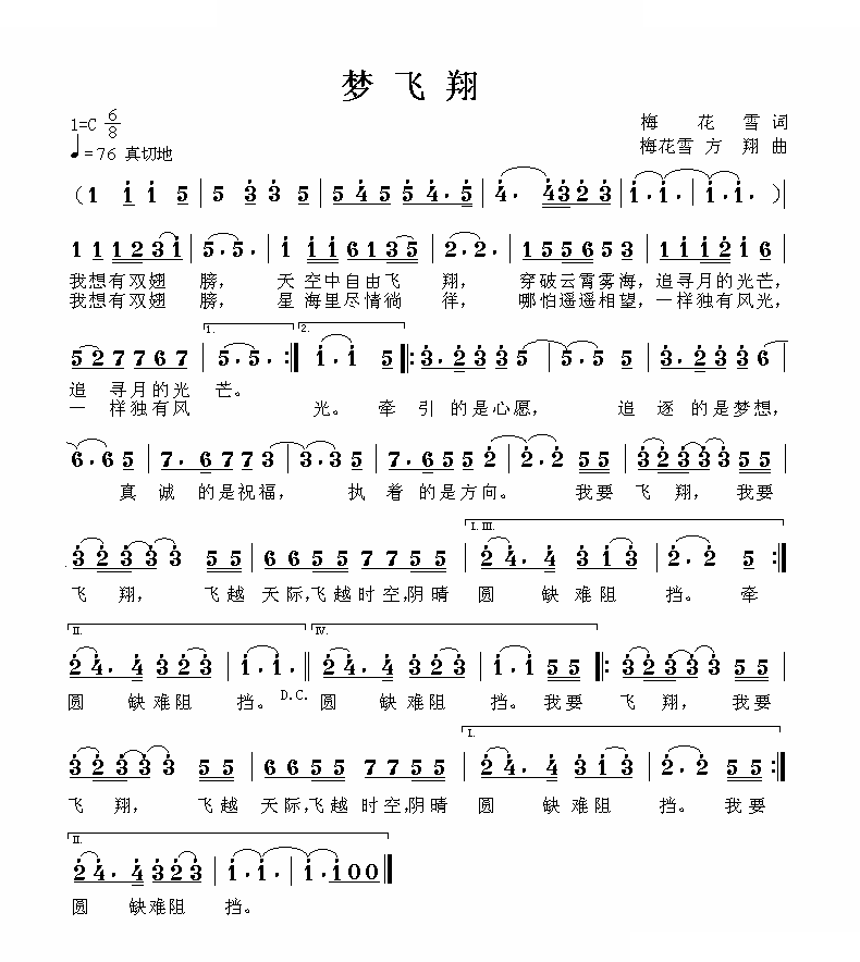 梦飞翔 