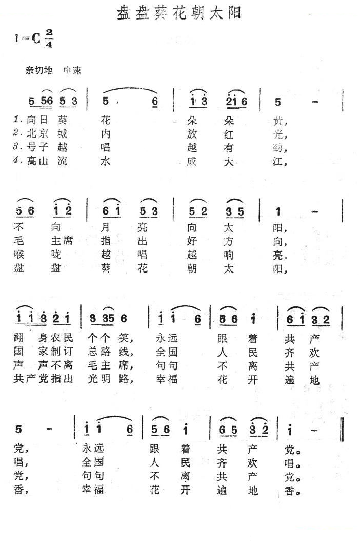 盘盘葵花朝太阳