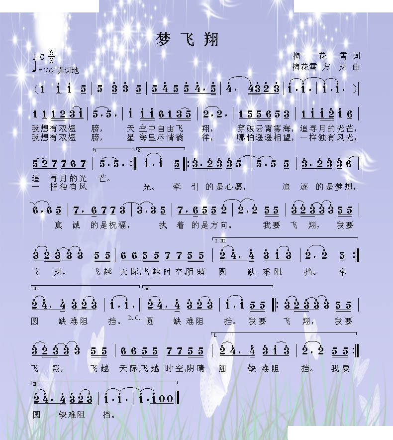 梦飞翔 