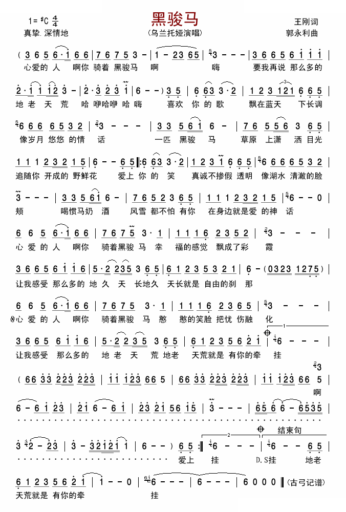 黑骏马