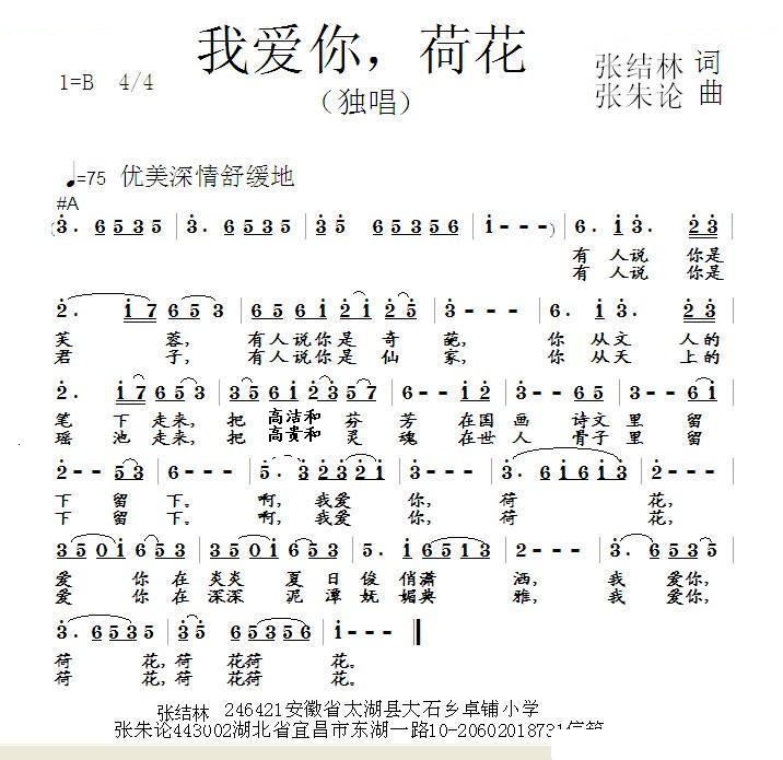 我爱你 荷花