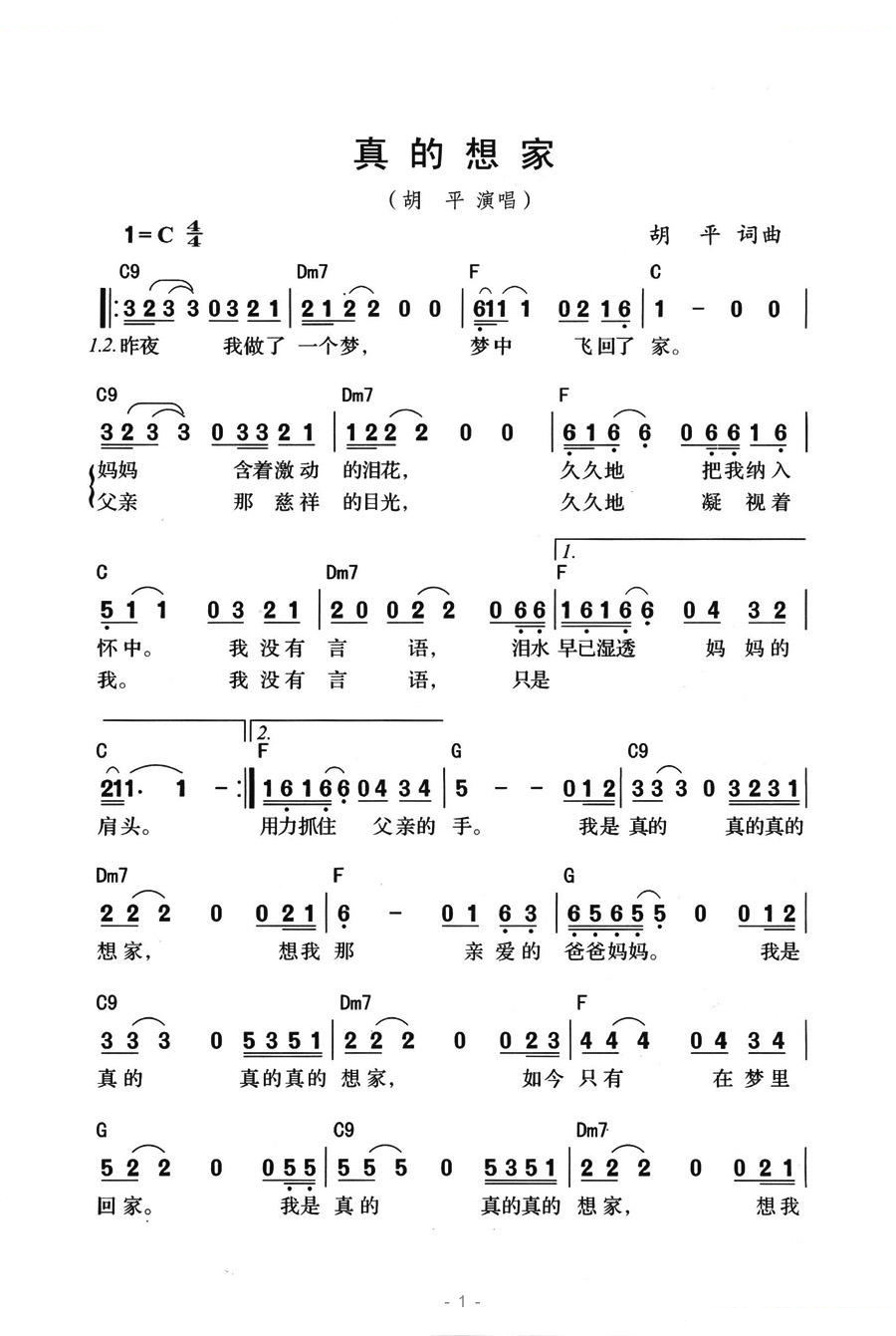 真的想家 歌曲