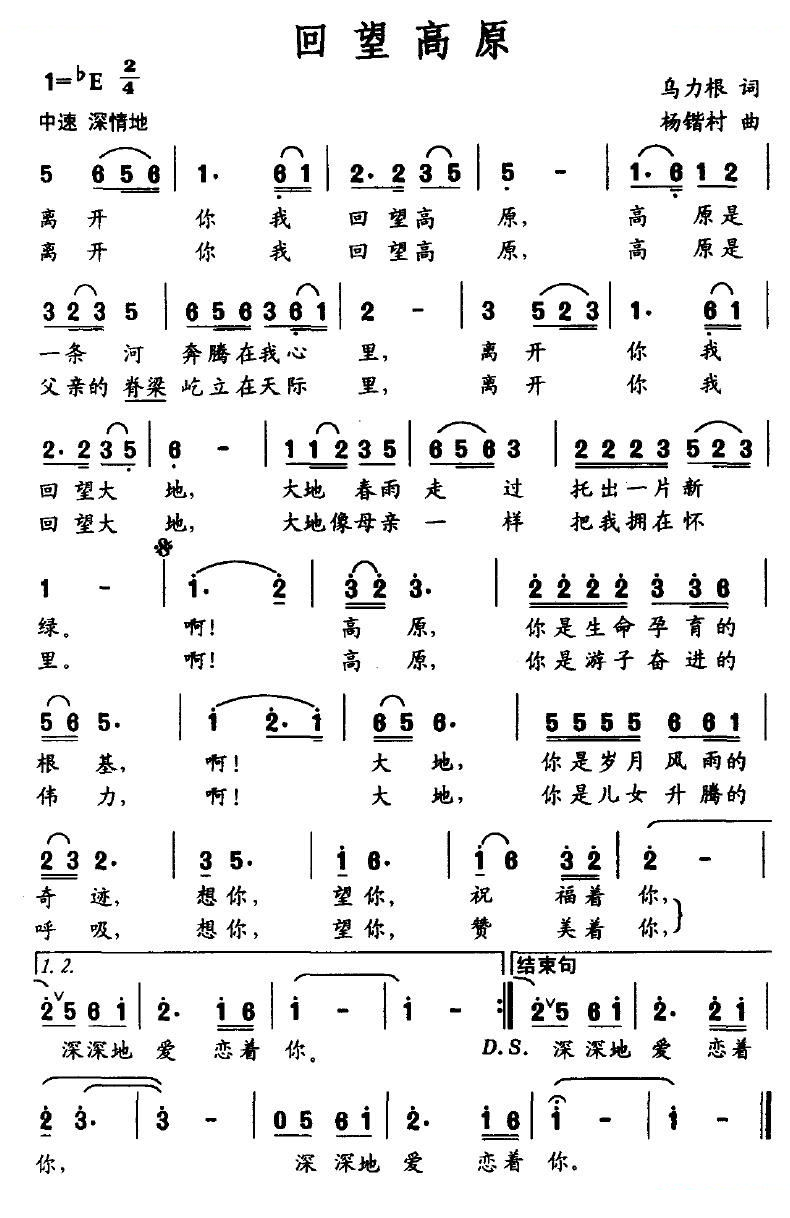 回望高原