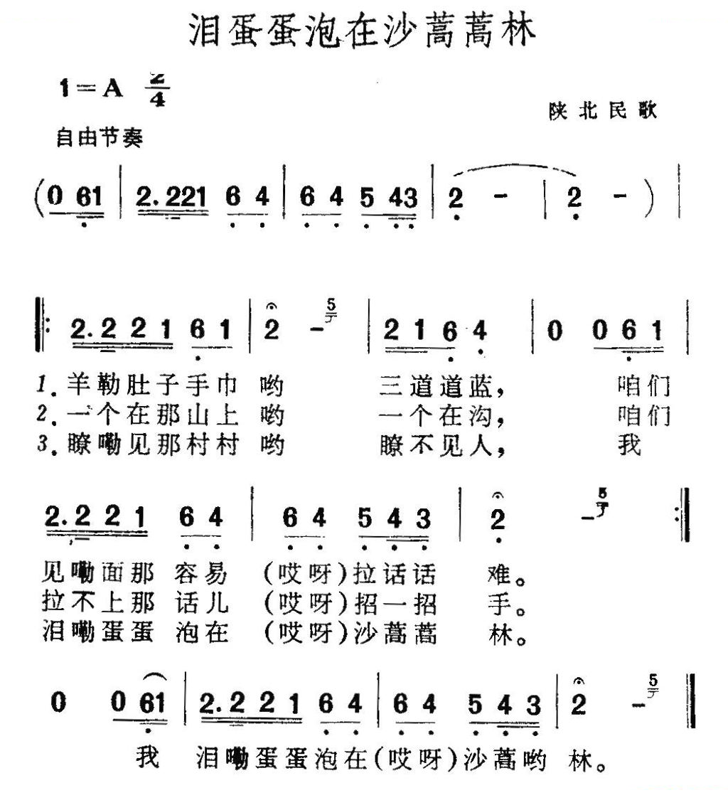 泪蛋蛋泡在沙蒿蒿林