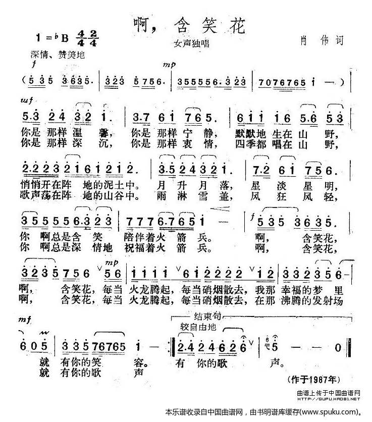 含笑花