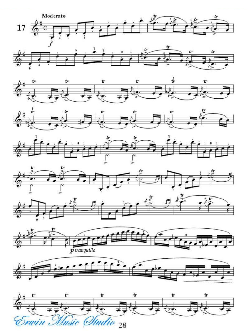 克莱采尔-42首练习曲Rudolphe Kreutzer 42 Studies 13-21 提琴谱