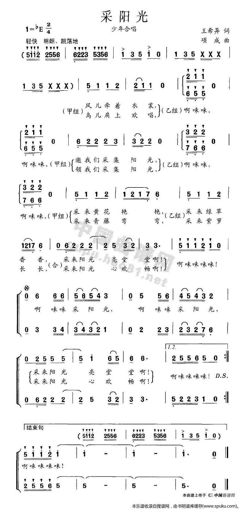 采阳光
