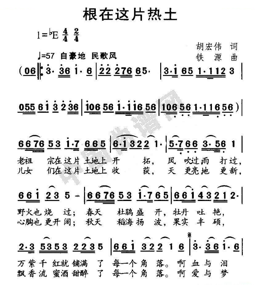 根在这片热土