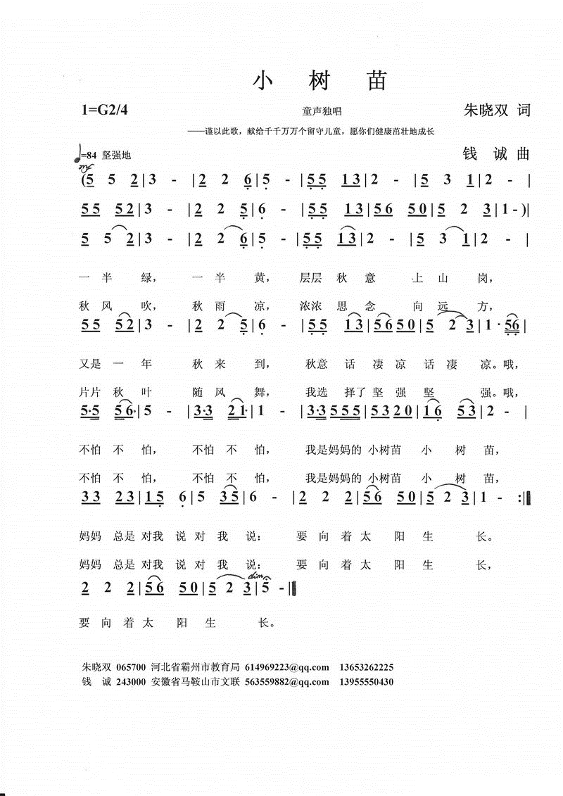 小树苗