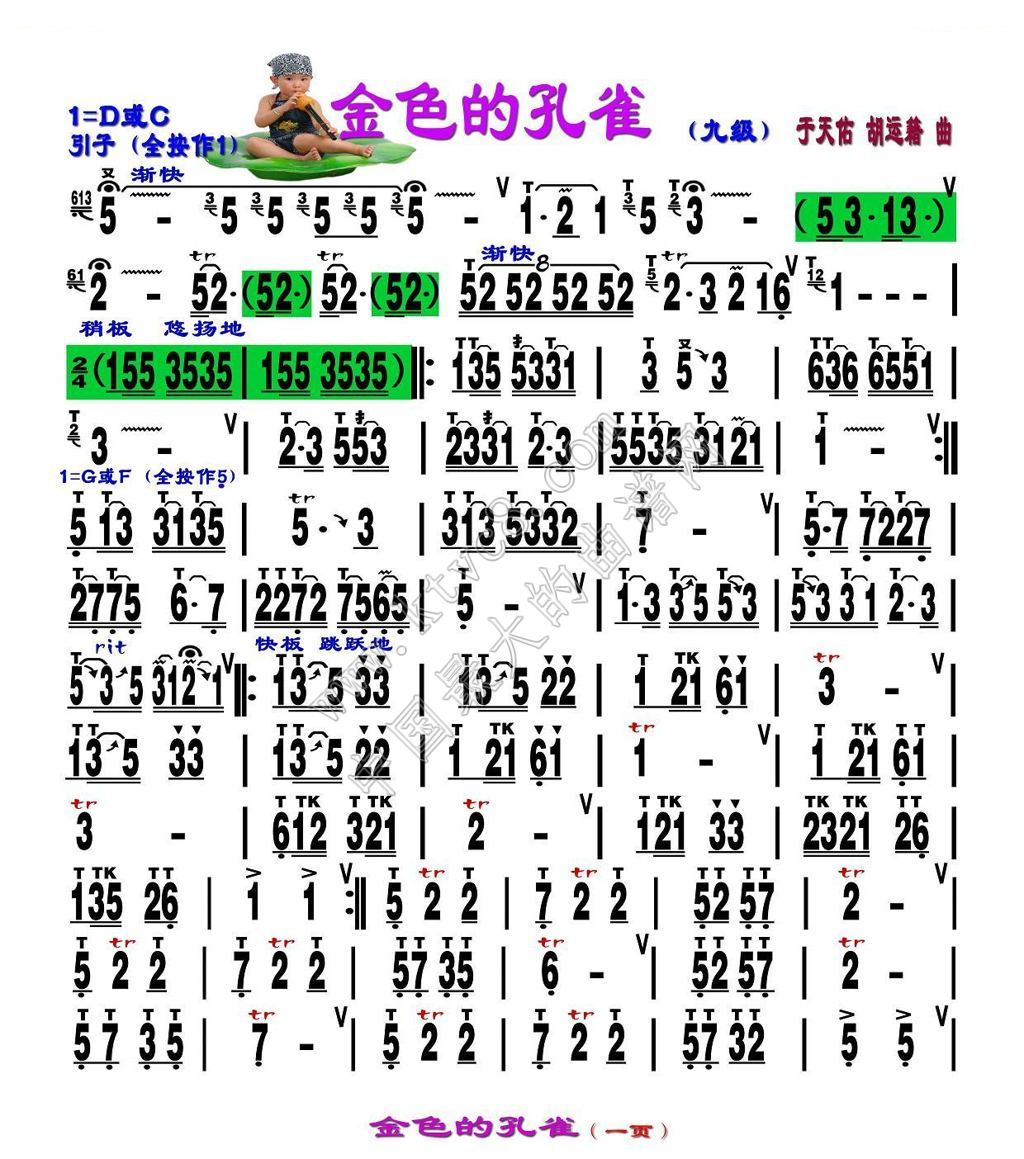 金色的孔雀 （刘慧淑制谱版） 