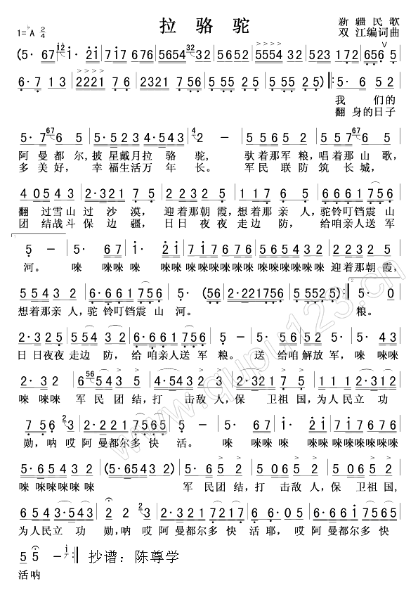 拉骆驼