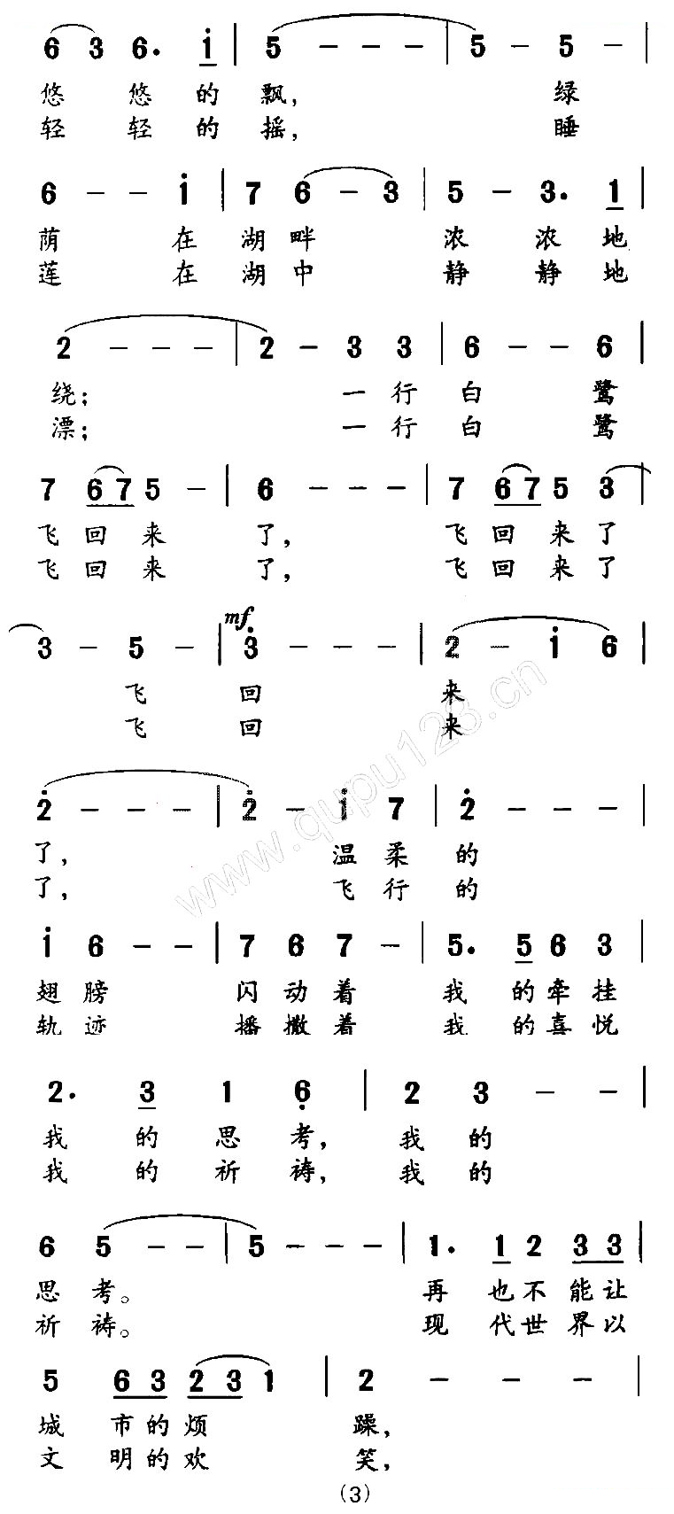 白鹭飞回来了