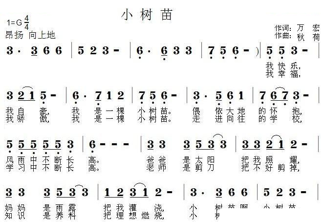 小树苗
