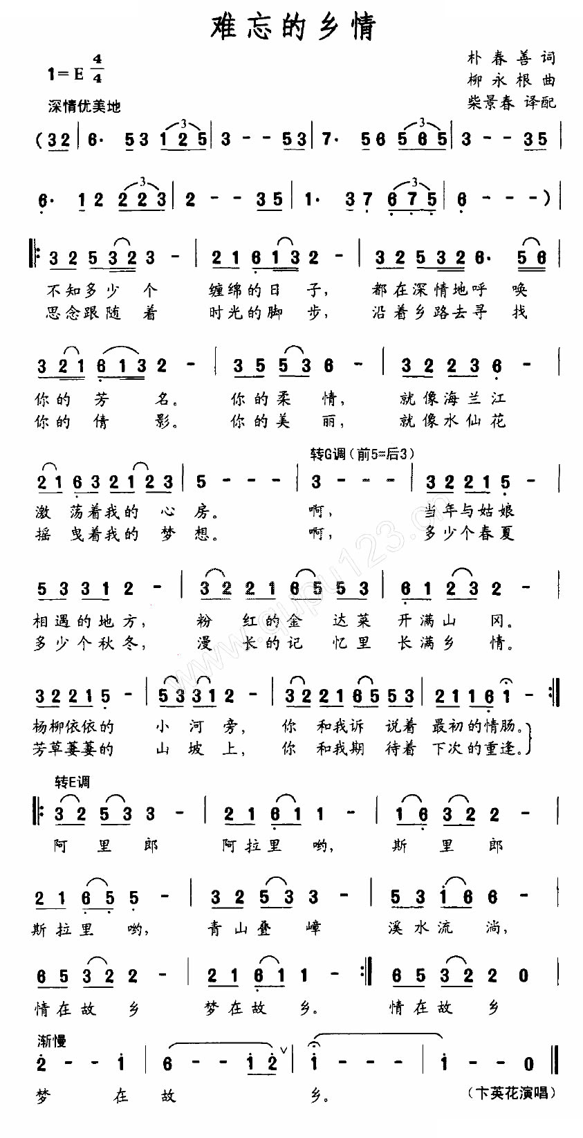 难忘的乡情
