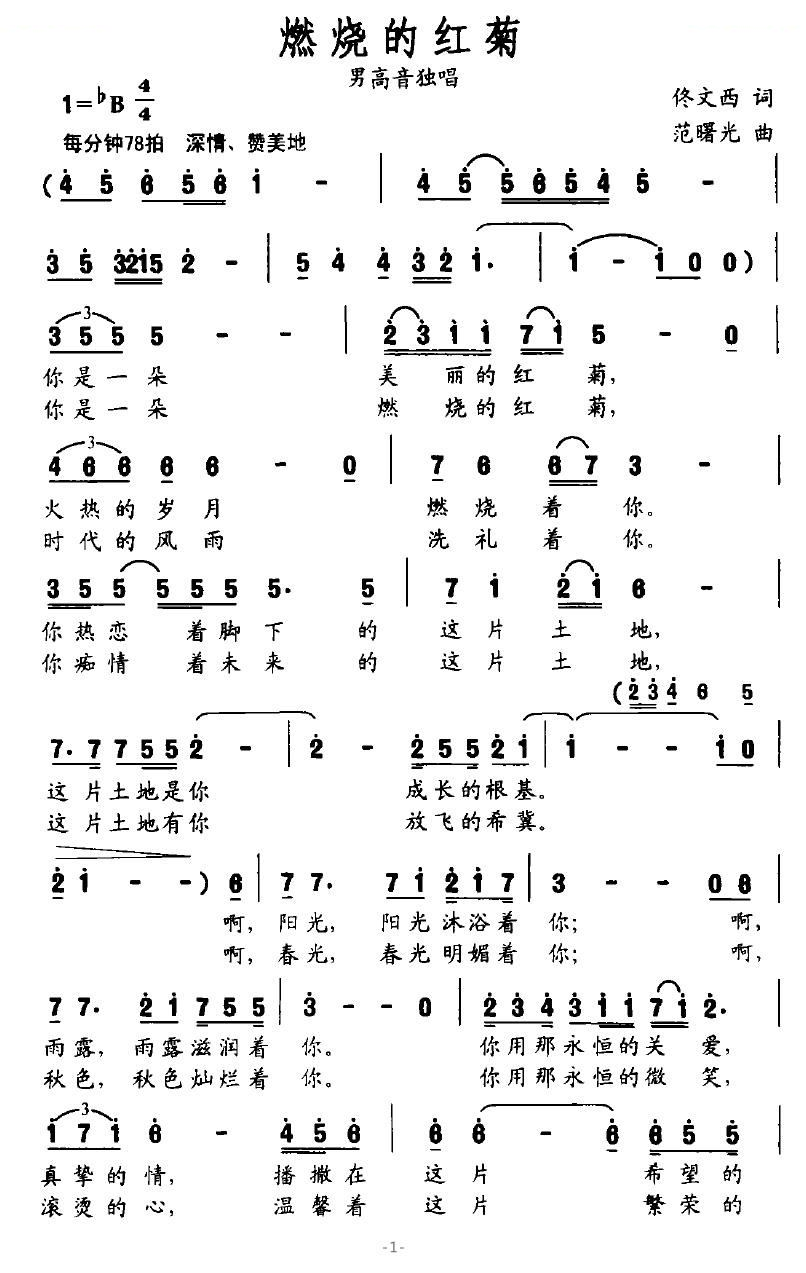 燃烧的红菊