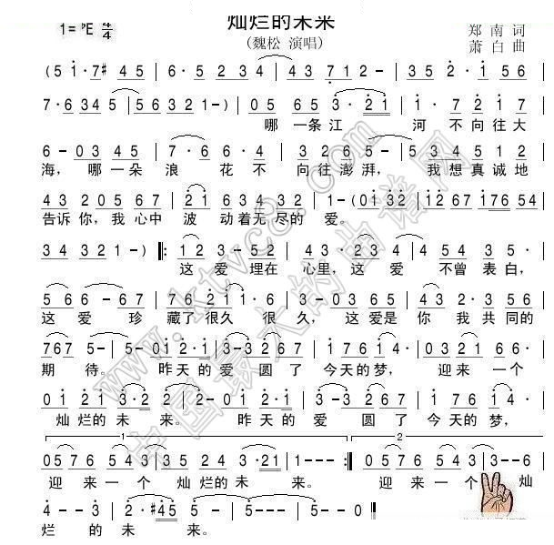灿烂的未来 