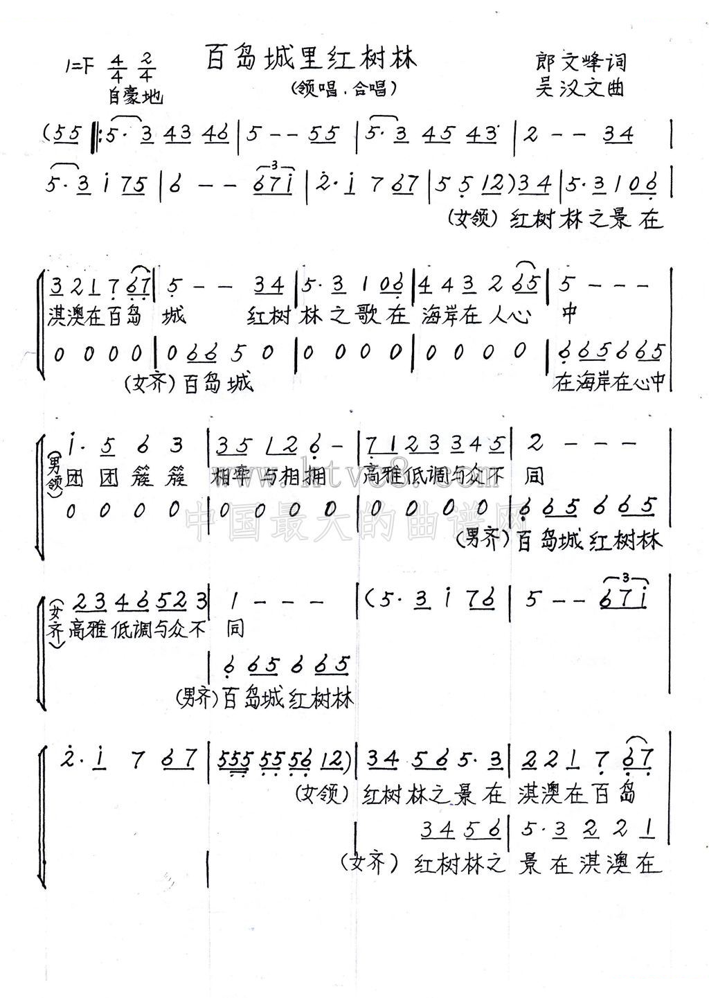 百岛城里红树林 