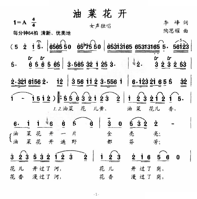 油菜花开