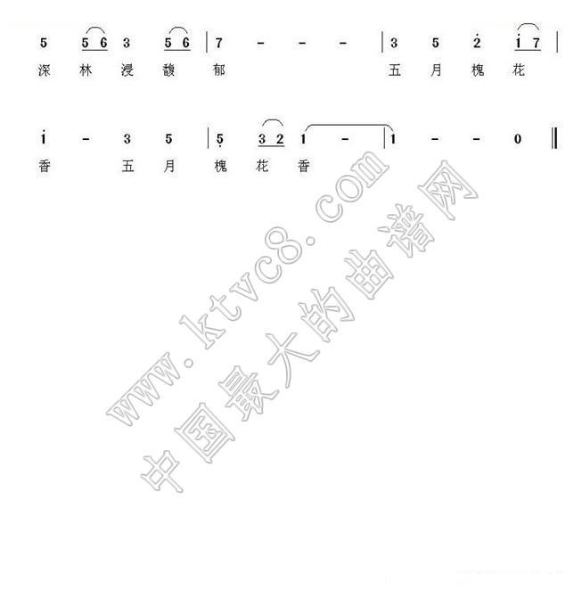 五月槐花香（杨福俊 词曲） 