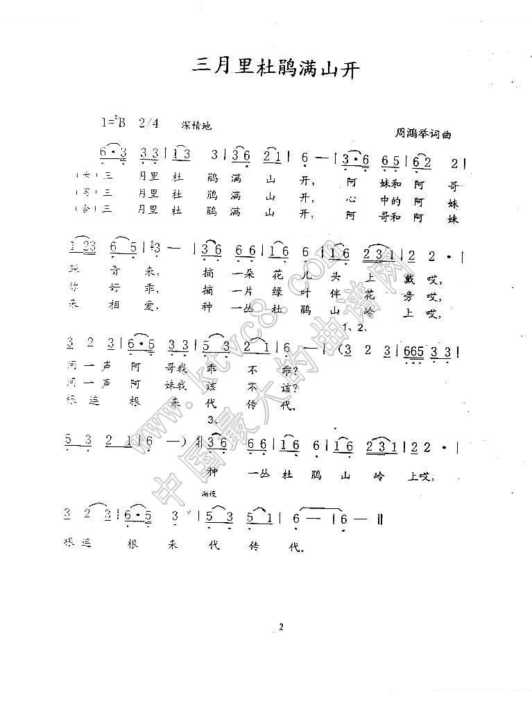 三月里杜鹃满山开 
