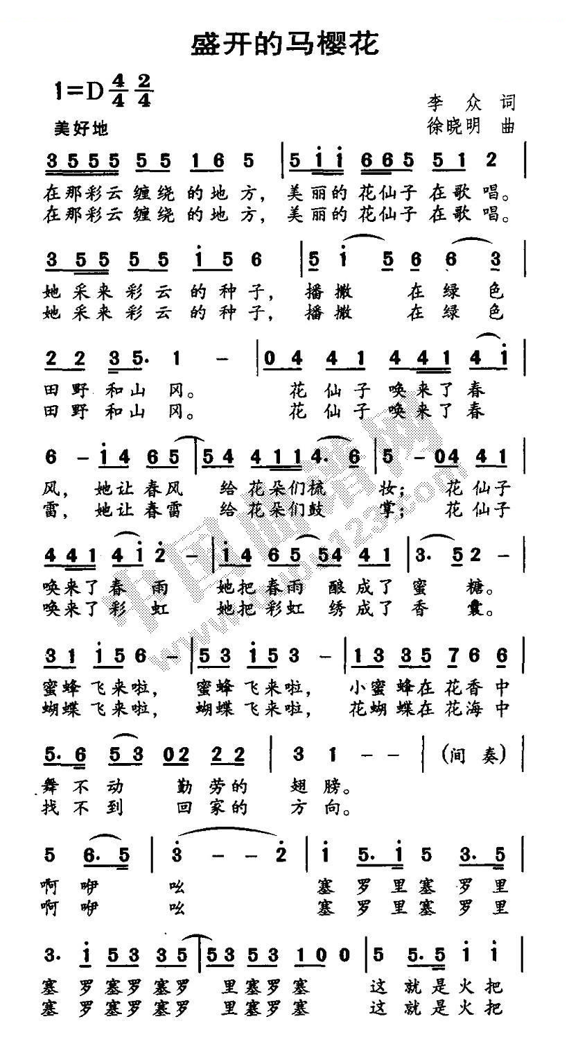 盛开的马樱花