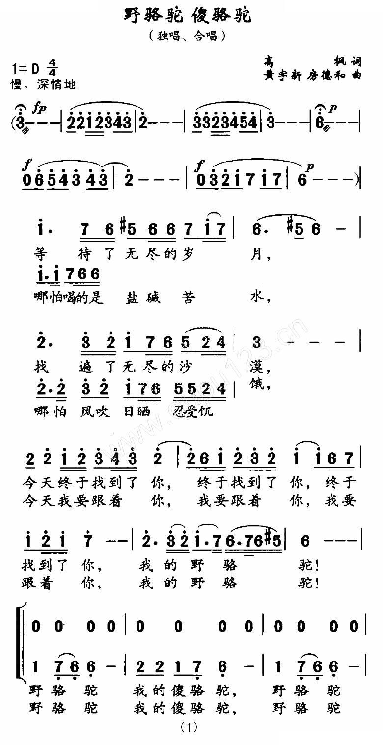 野骆驼 傻骆驼