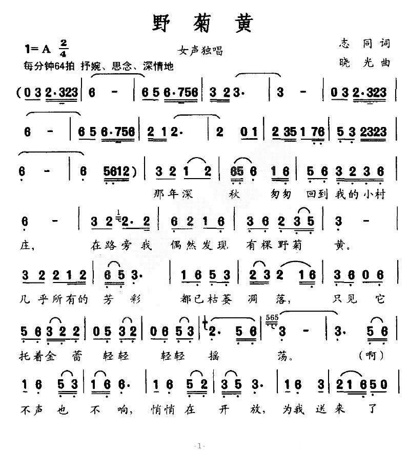 野菊黄