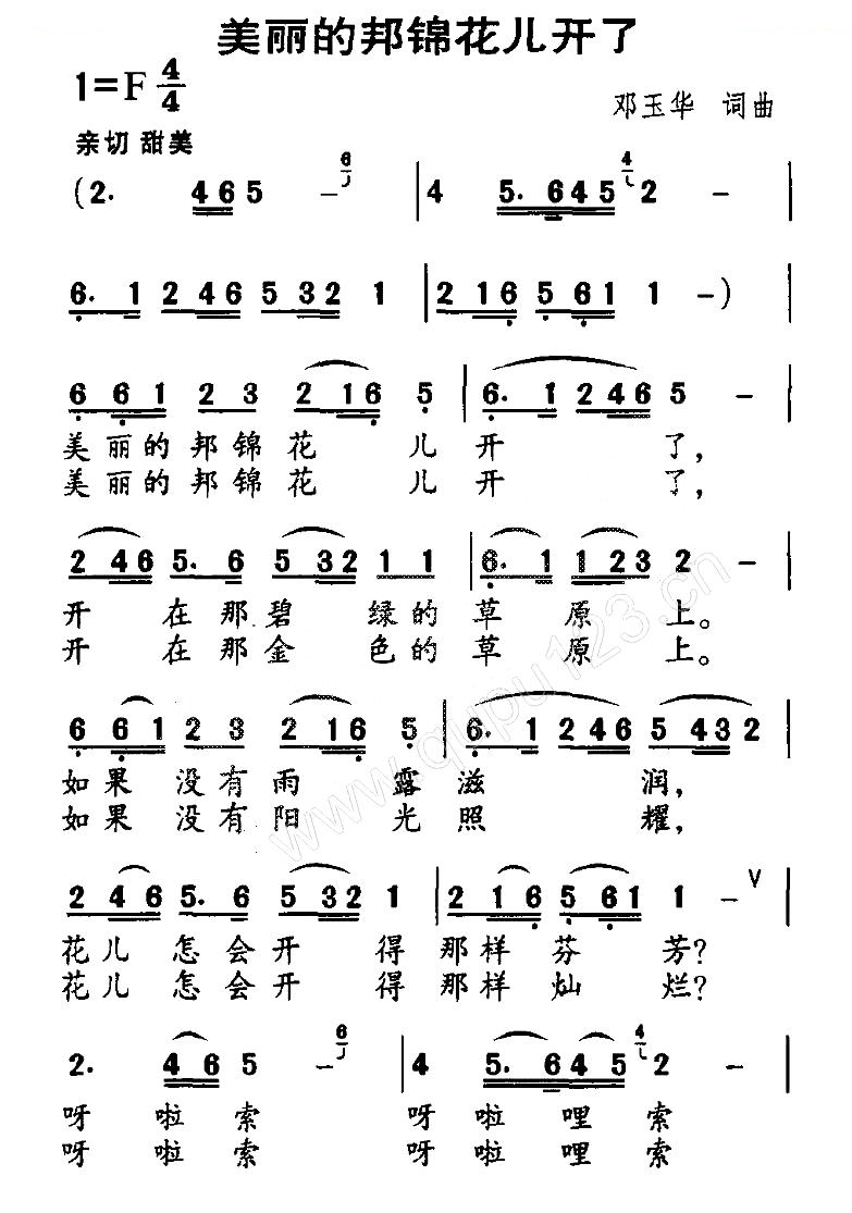 美丽的邦锦花儿开了