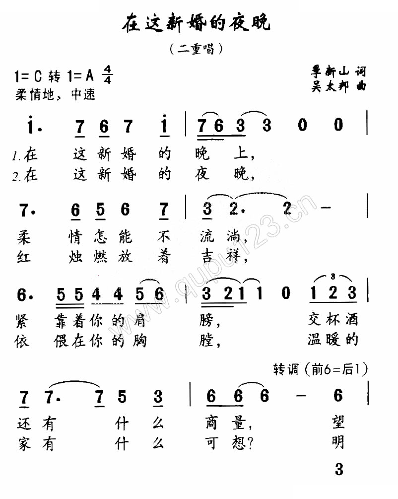 在这新婚的夜晚（二重唱）
