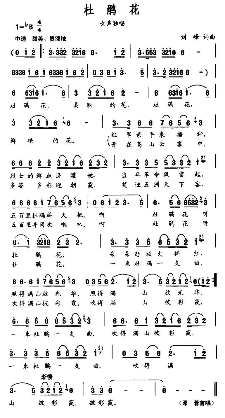 杜鹃花