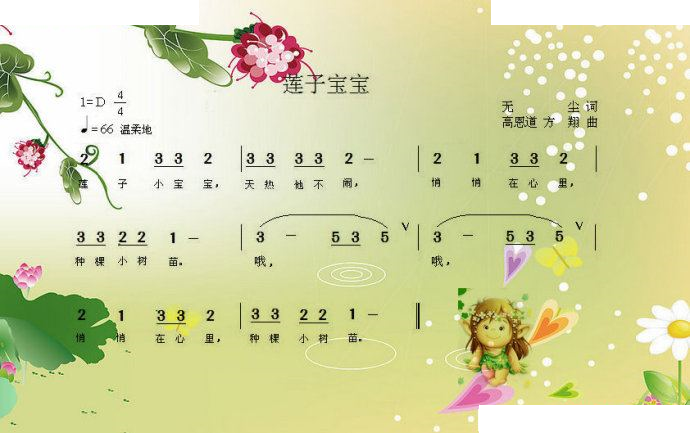 莲子宝宝