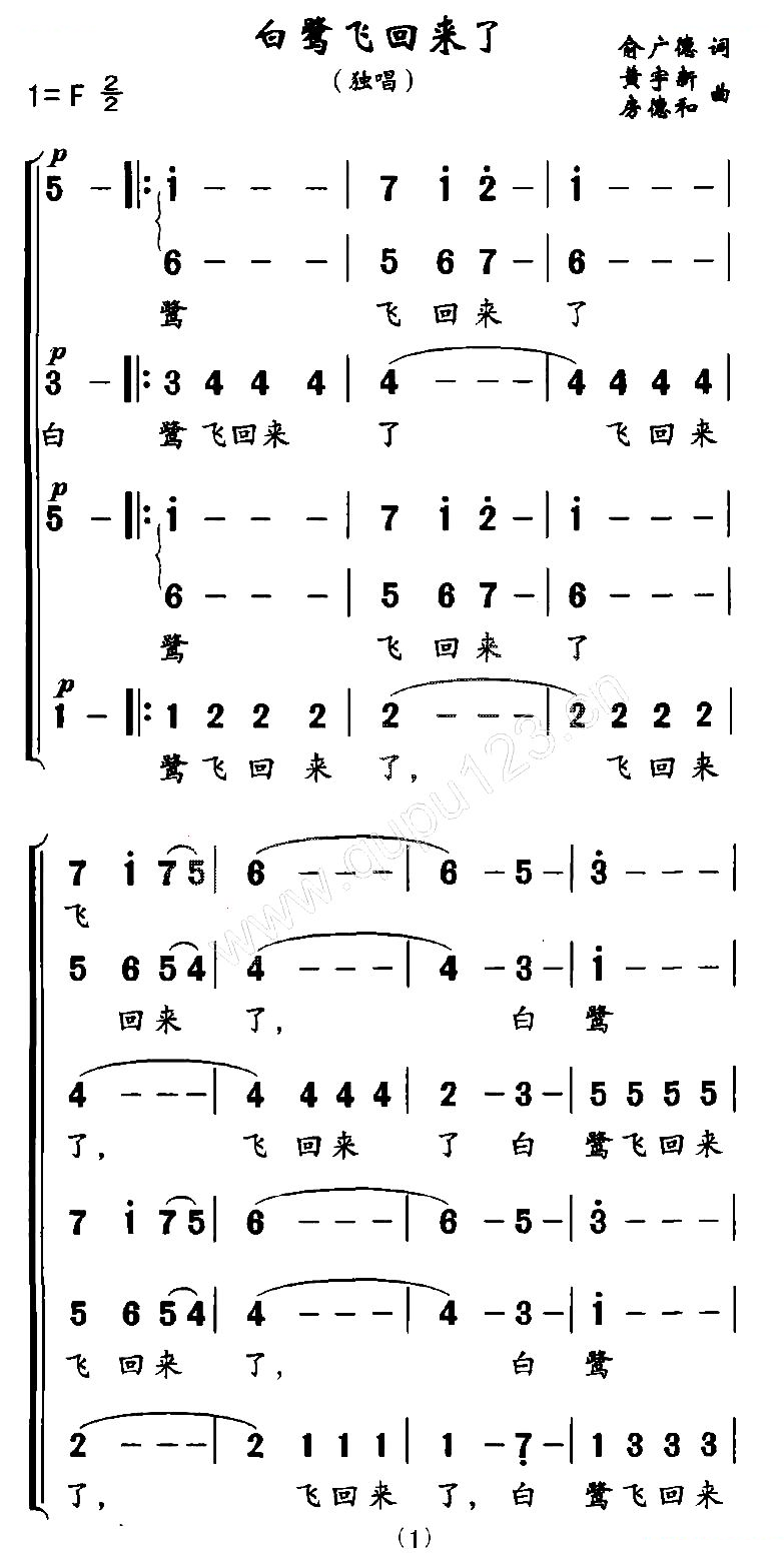 白鹭飞回来了