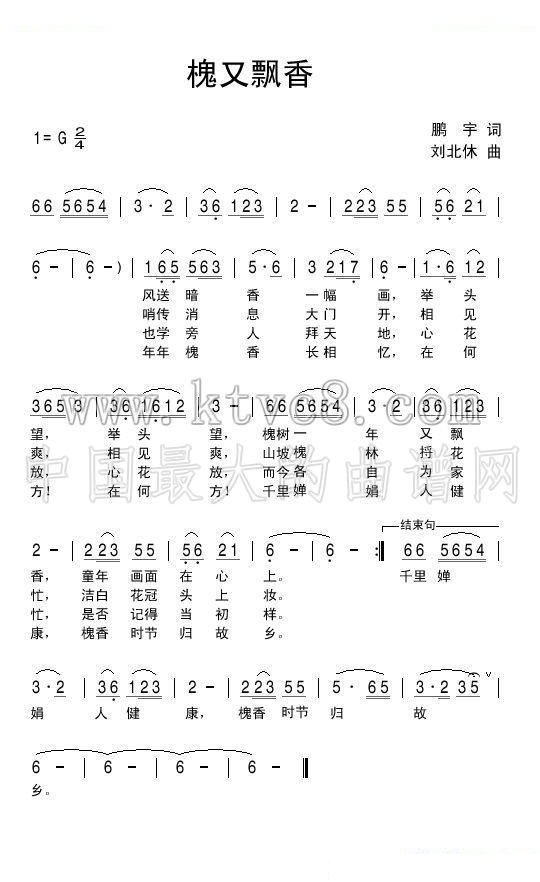 槐又飘香 