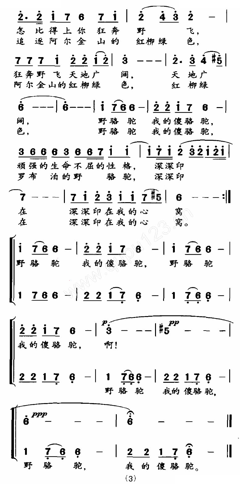 野骆驼 傻骆驼