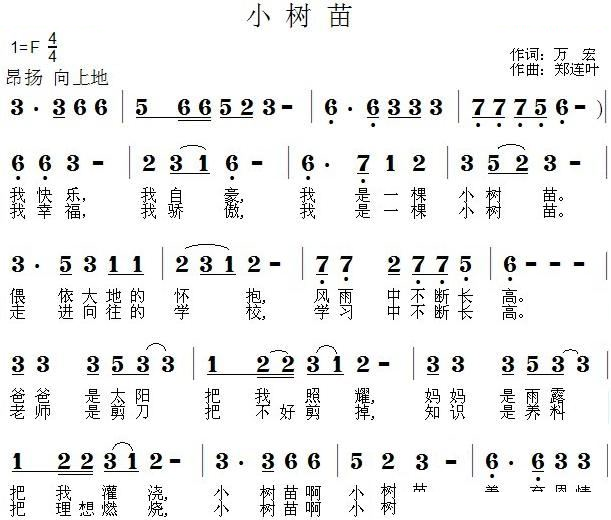小树苗