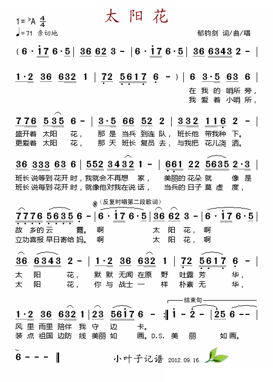 太阳花