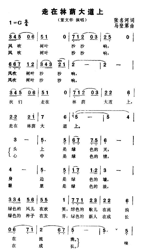 走在林荫大道上