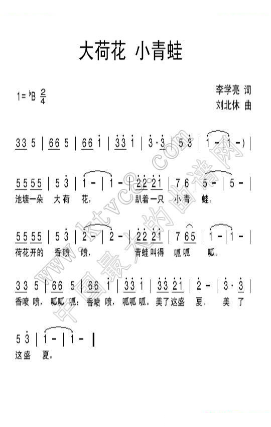 大荷花小青蛙 