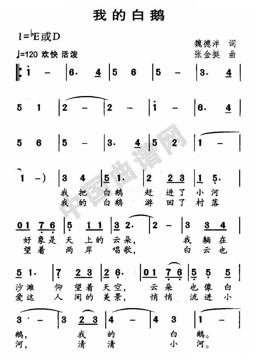 我的白鹅