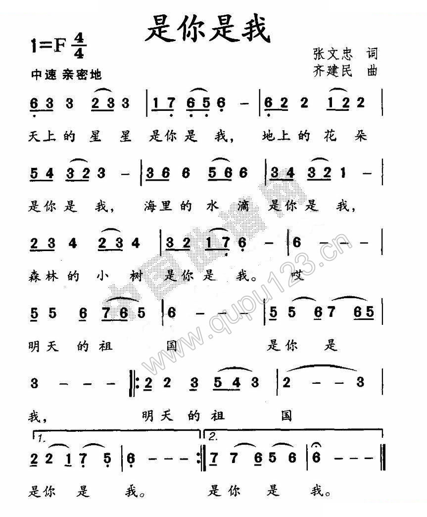 是你是我（张文忠词 齐建民曲）